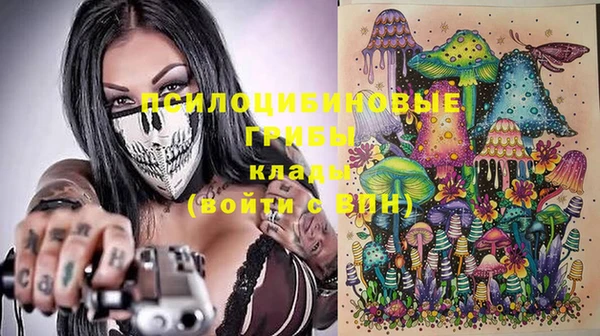 МДПВ Нязепетровск