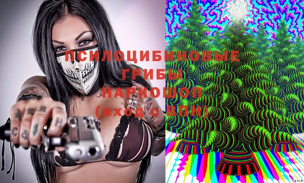 МДПВ Нязепетровск