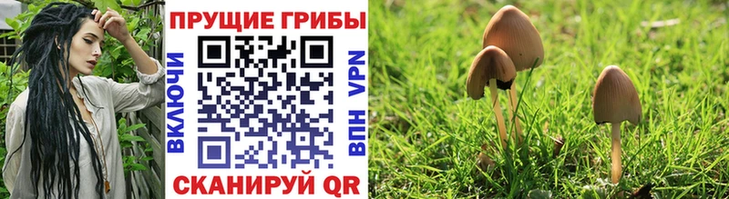 Псилоцибиновые грибы ЛСД  Купить  Владикавказ 